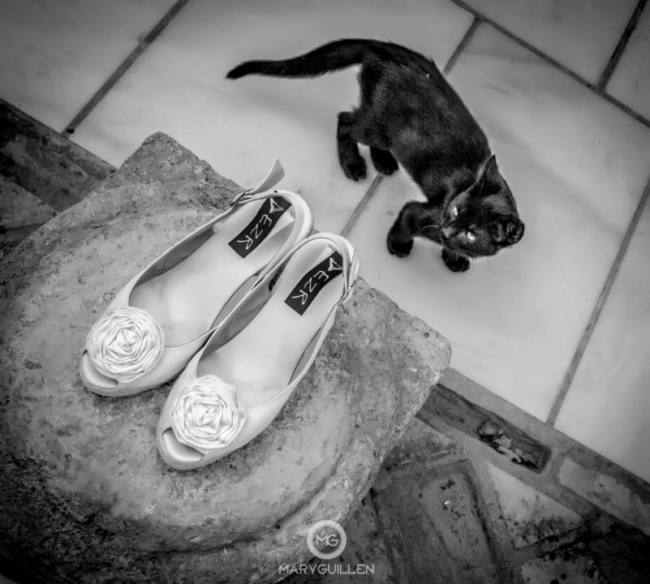 fotografia-profesional-boda-novios-parejas-montilla-madrid-sevilla-joana-pablo-mary-guillen-fotografa-006